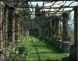 History of Pergolas | GazeboCreations.