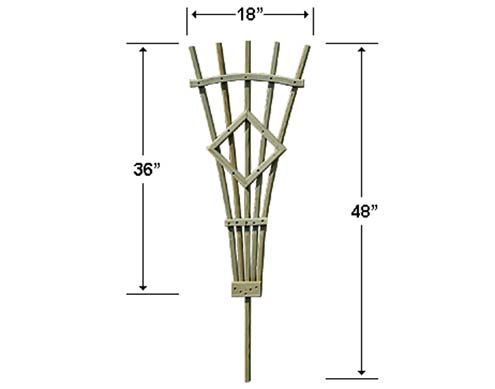 Arbors And Trellises. Treated Pine 3' Rose Trellis