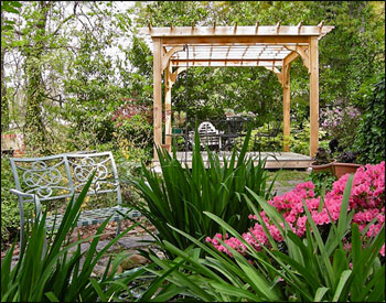 10 X 10 Cedar Deluxe 4 Beam Pergola shown with Stainless Steel Hardware, 16" Top Runner Spacing, Standard Braces, Standard Posts,  and Gray Composite Deck.