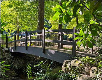 Heavy Duty 4 x 24 Double Rail Pedestrian Trail Bridge shown with Arched Glulam Beams, Woodland Brown Trex Decking, 36" tall Pine Double Railings, and customer-provided stain.
