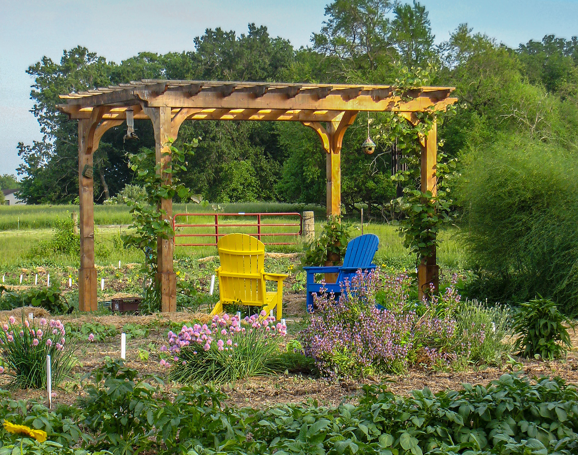 customer-s-photo-8-x-12-cedar-2-beam-pergola