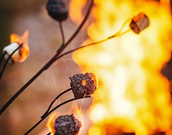 Multi-Marshmallow Roasting Stick Close Up - Cooked