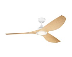 Ceiling Fans With A Down Rod
