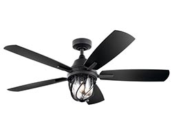 Fans with Lights