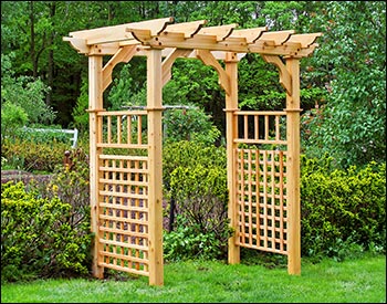 Renoir's Red Cedar Arbor