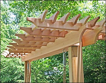 Red Cedar Marquis Arbor