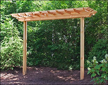 Red Cedar Marquis Arbor