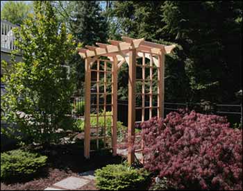 Red Cedar Canterbury Arbor