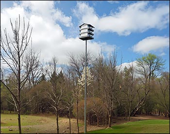 12 Room Purple Martin Mansion