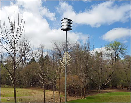 12 Room Purple Martin Mansion