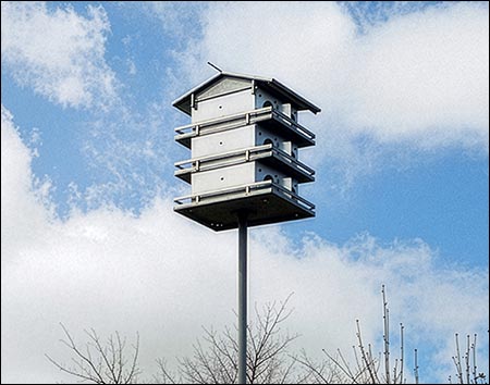 12 Room Purple Martin Mansion